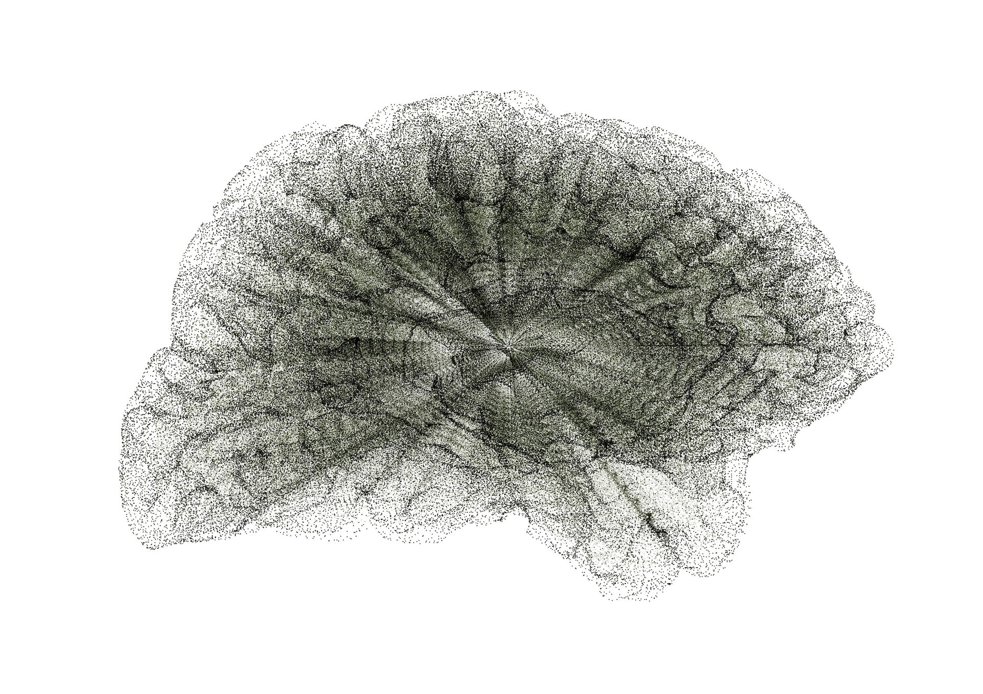 En illustrasjon av hjernen