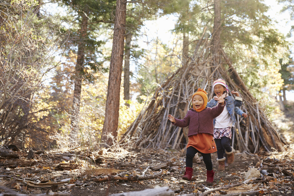 The image shows children playing in a forest.