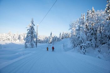 There are several places you can go skiing in the winter, both downhill and cross-country.&amp;#160;