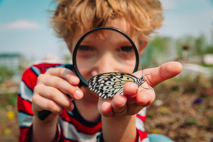 Illustrasjonsfoto av gutt som ser på en sommerfugl gjennom et forstørrelsesglass