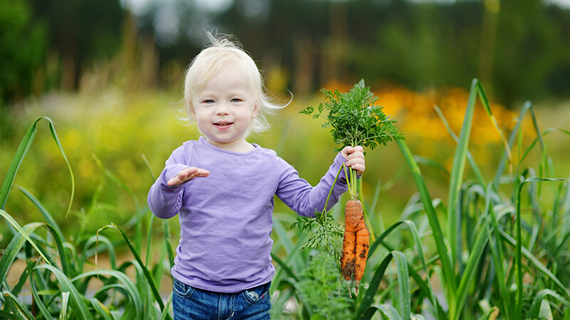 Et barn i en åker holder opp en gulrot og smiler. 