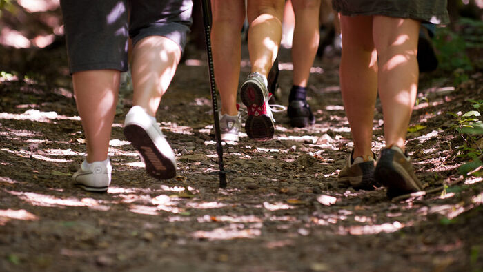 Photo of people's legs, walking in nature