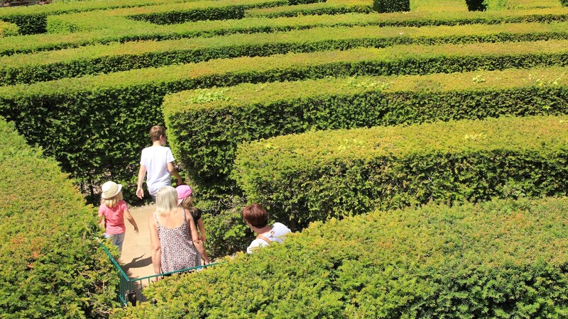 photo of people in a garden labyrinth