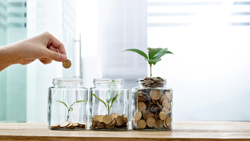 photo of plants sprouting from money jars