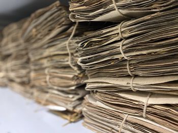 In our herbarium, we have approximately 85,000 herbarium specimens.