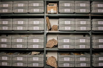 I magasinet oppbevares stein og mineraler. Totalt utgjør de ulike geologiske samlingene nesten 10 000 objekter.&amp;#160;