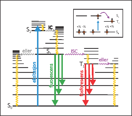 Jablonski-diagram som viser de forskjellige mekanismene når et atom blir eksitert. 
