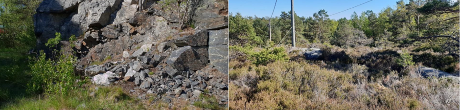 to bilder i et. steinur på bildet til venstre og åpent skogsområde med lyng.