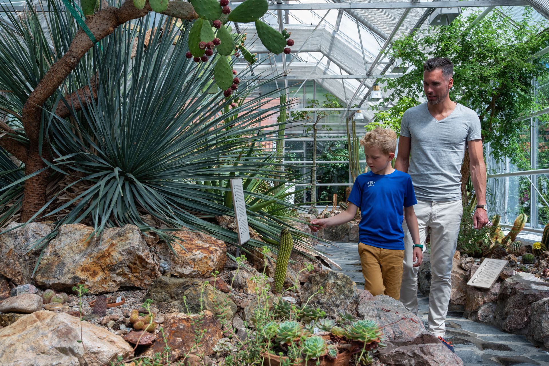 Far og sønn i kaktushuset