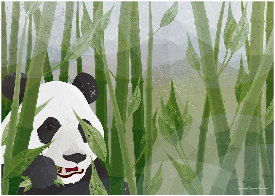 Illustrasjon av panda i bambusskog
