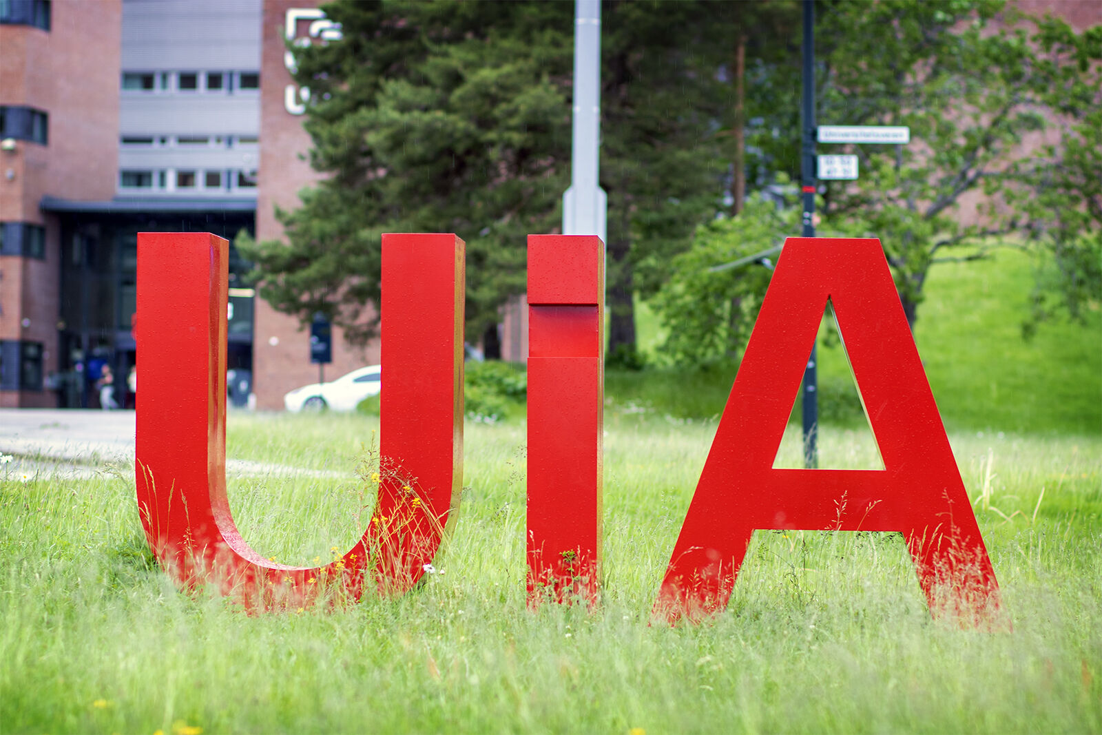 The photo depicts the red letters spelling UiA's logo placed on a lawn with tall grass.