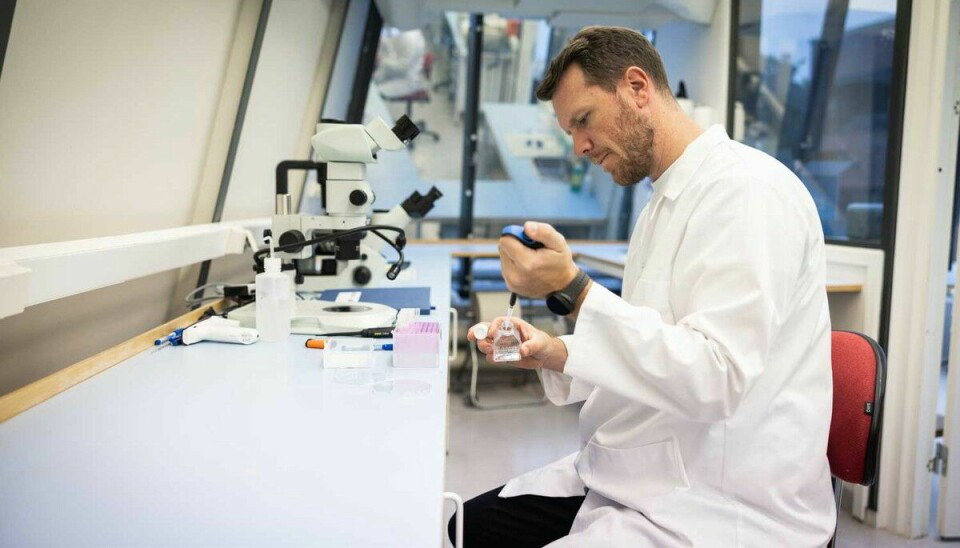 Forsker analyserer materiale på laboratorium