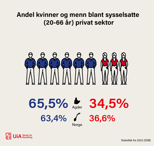 Illustrasjonen viser at det jobber 65,5 % menn i privat sektor i Agder. På landsbasis er andelen 63,4 % menn. I Agder jobber det 34,5 % kvinner i privat sektor og 36,6 % kvinner på landsbasis.