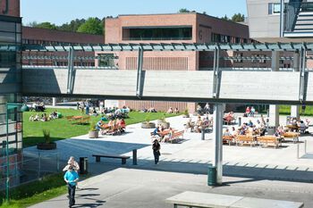 Campus Kristiansand.