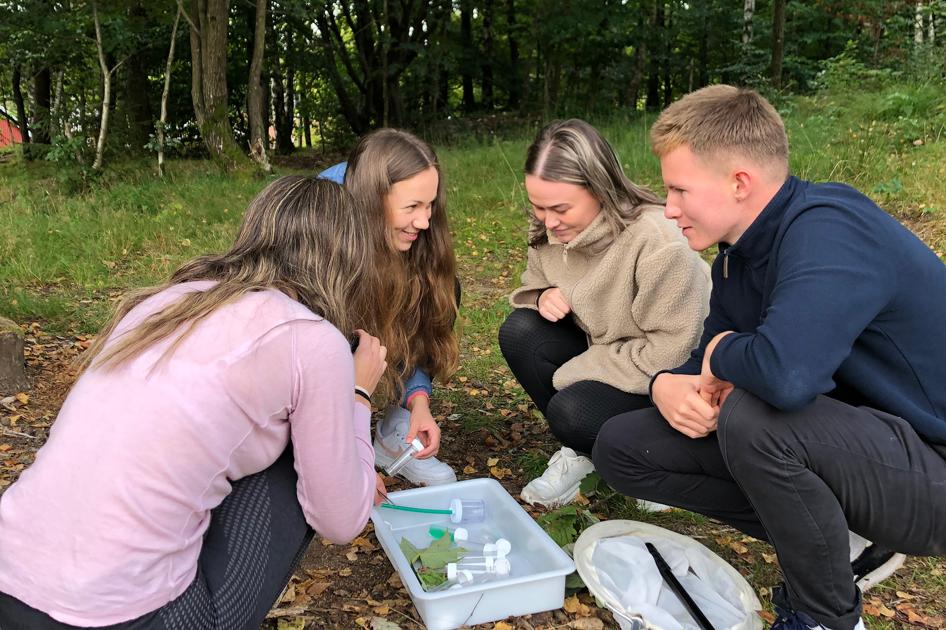 Fire studenter studerer småkryp ute i skogen