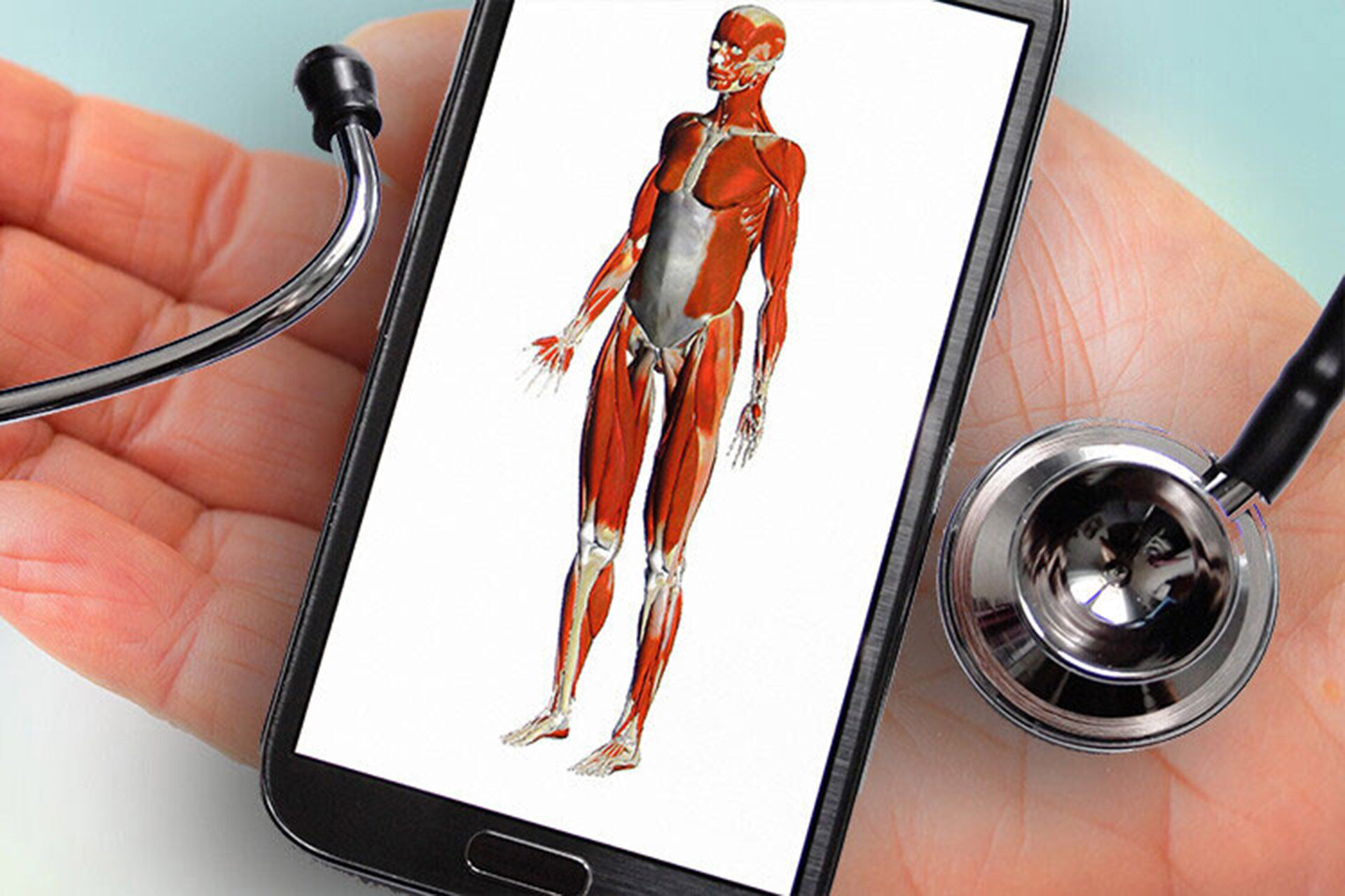 En hånd som holder et stetoskop og en liten plansje med illustrasjon av en kropp